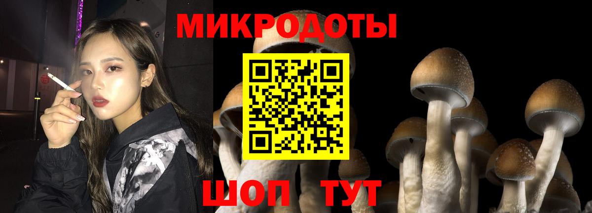 Галлюциногенные грибы Magic Shrooms Петрозаводск